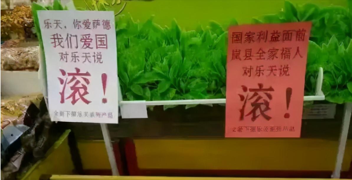 乐天玛特会退出中国吗,乐天玛特退出后的城市现在怎么样