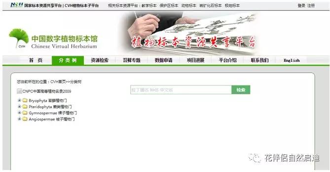 植物检索网站官网,植物检索表100种