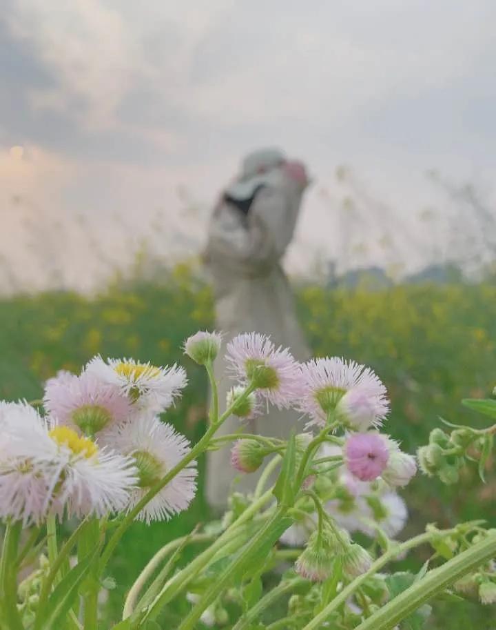 方与圆人生感悟,方与圆的人生智慧珍藏