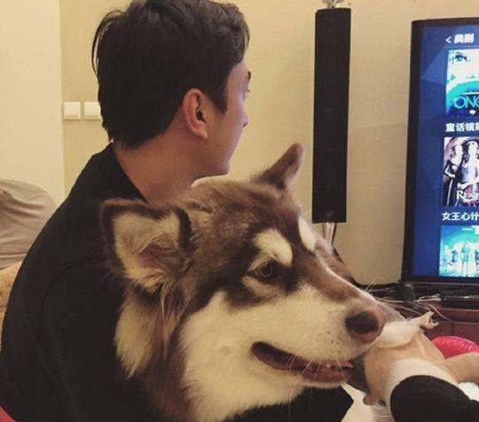 “被舔狗”后，王思聪不吃瓜，改发减肥信息了