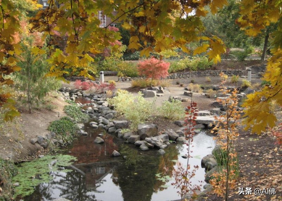 美国康奈尔大学校园风景,美国校园美景