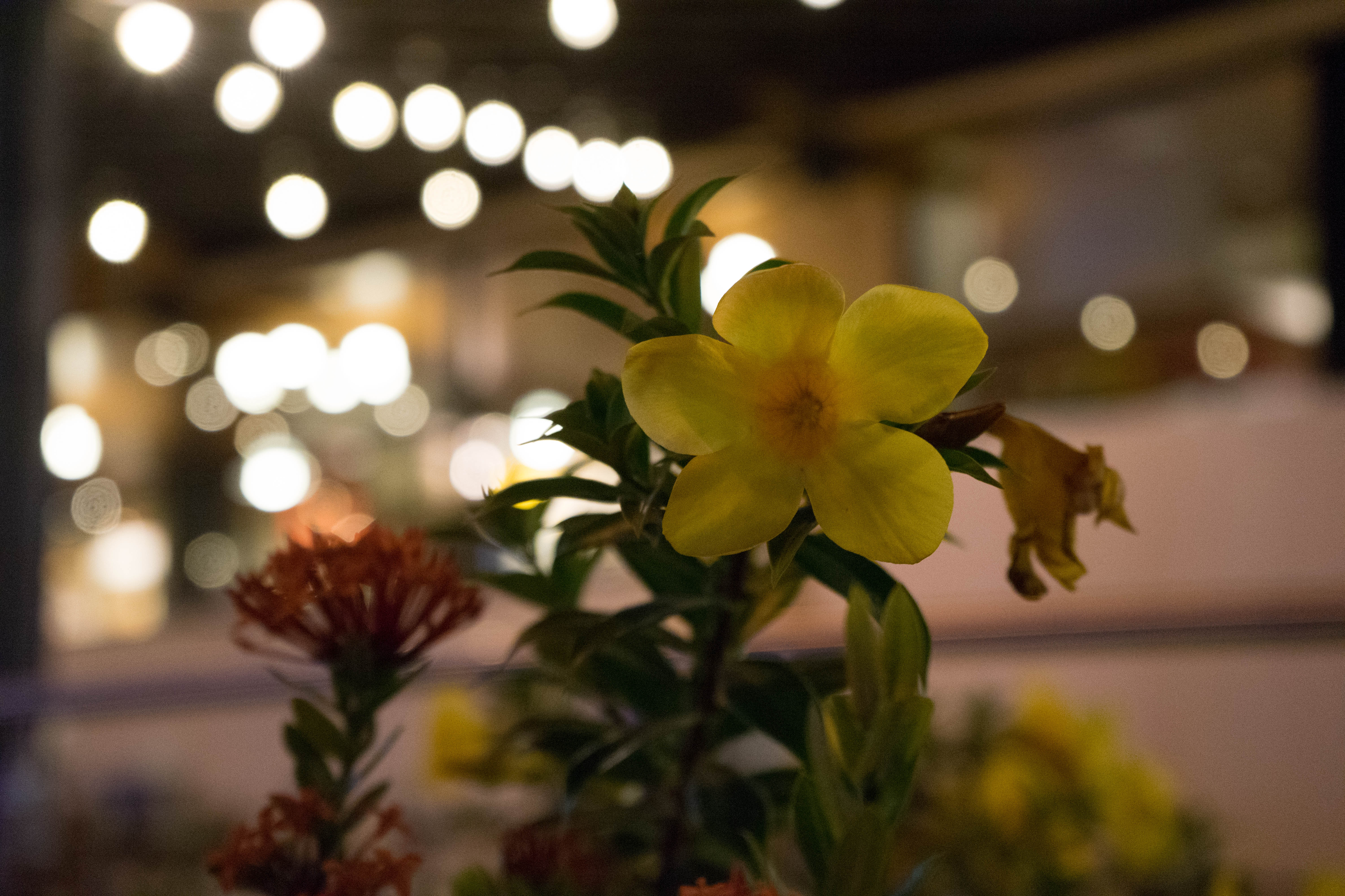 塞班岛蜜月自由行攻略,塞班蜜月旅行攻略