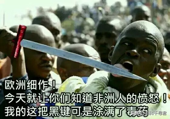 世界上最大的淡水鱼欧洲鳇,欧鳇是食肉鱼吗