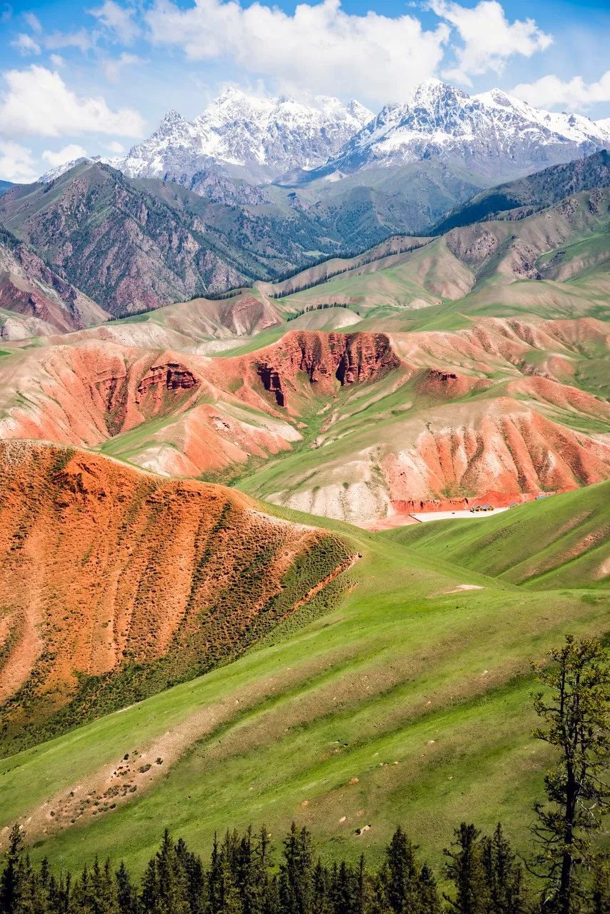 七月的青海湖美翻了,带你了解七月的青海