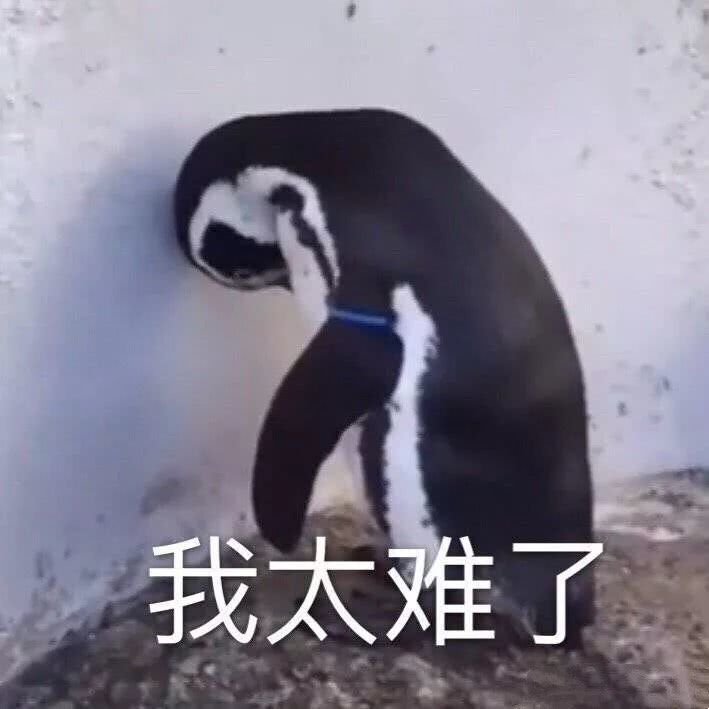 装修小白必看卧室装修攻略,装修小白必看半包装修注意事项