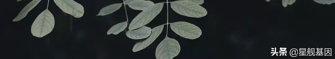 产后咳嗽腰疼痛是什么原因,产后腰痛睡觉躺着痛怎么回事