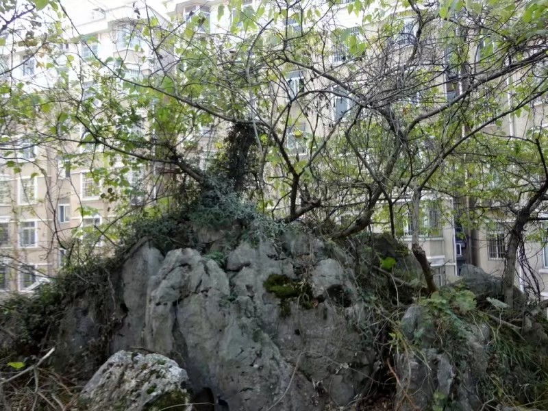 江山烟里面有药材吗,江山烟系列有哪些