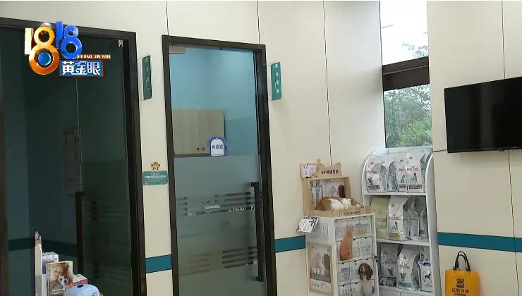 四胞胎都没有胎心胎芽正常吗,四胎无创都没问题五胎会有问题吗