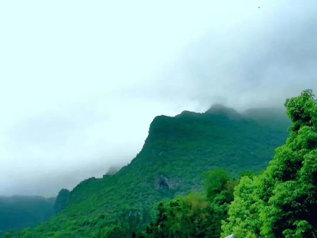 贵州哪个城市工业发展最好,贵州的工业实力