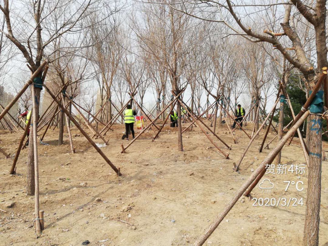 昌平公园二期最新消息,北京昌平滨河公园足球场开了吗