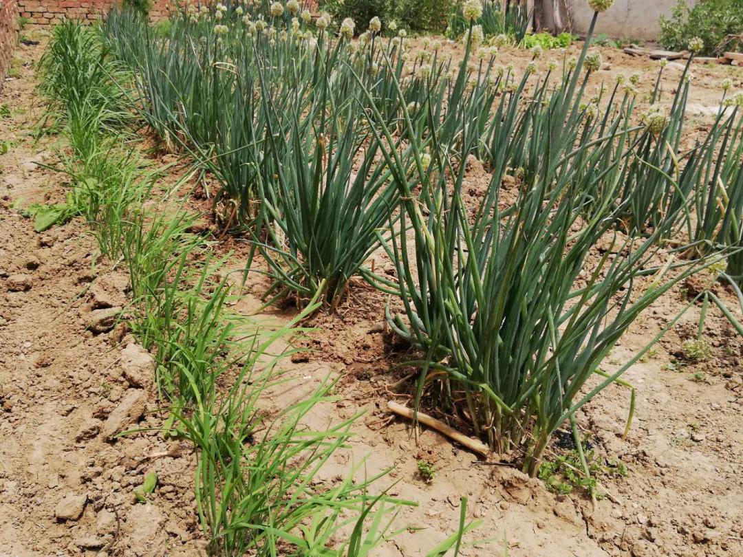 闲着木事儿，你来俺家玩儿呗