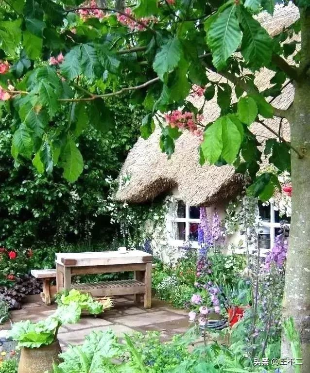 远赴人间盛宴谈笑风生不动情,远赴人间惊鸿宴谈笑风生不动情