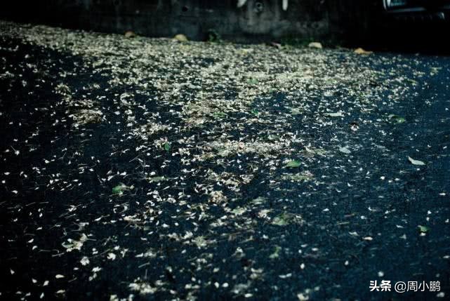 男人婚外情女人该如何处理,男人在婚外情中如何及时止损