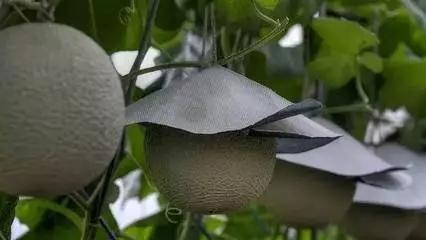 一年卖200亿水果店,一个水果店一年发展3000家