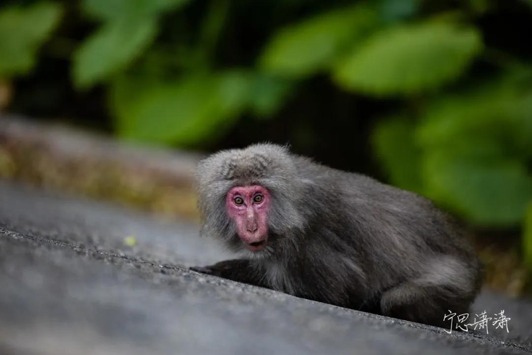 “5”缘有缘我与摄影的故事也是我与佳能“5”的故事