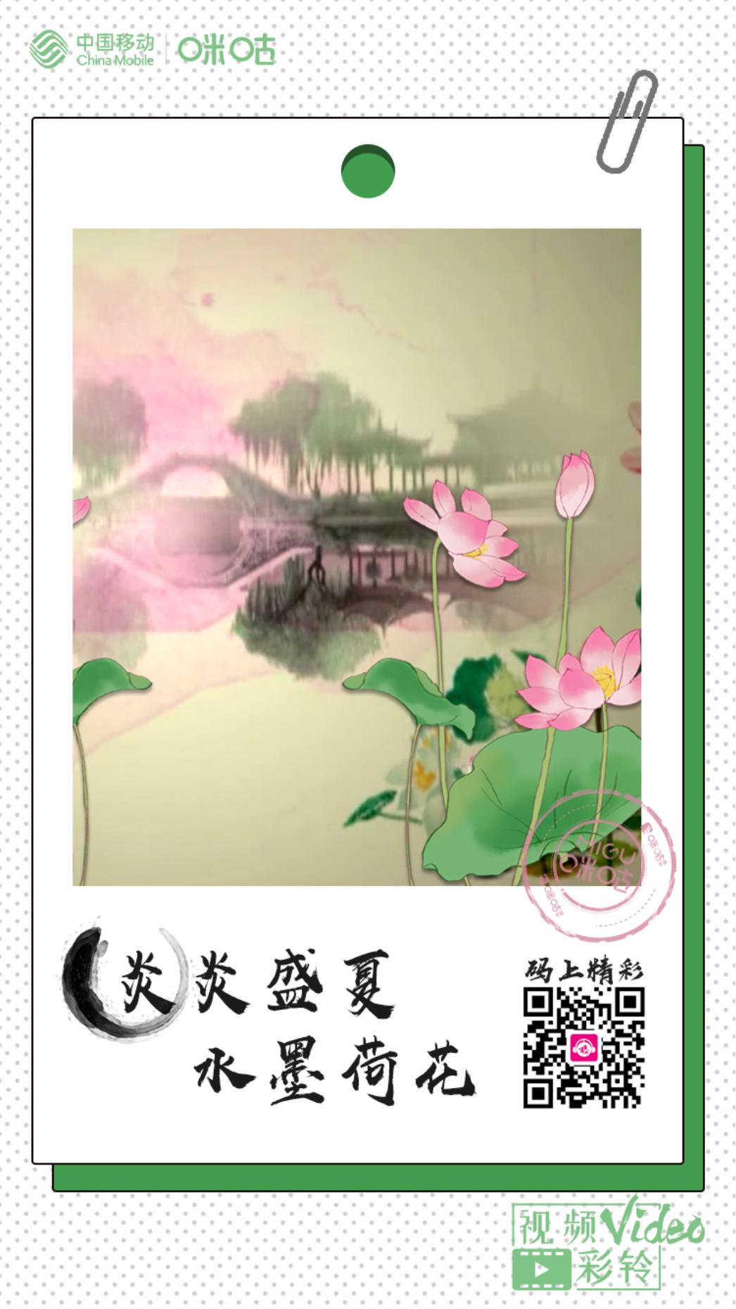 映日荷花别样红夏天赏荷正当时,夏至赏荷映日荷花别样红