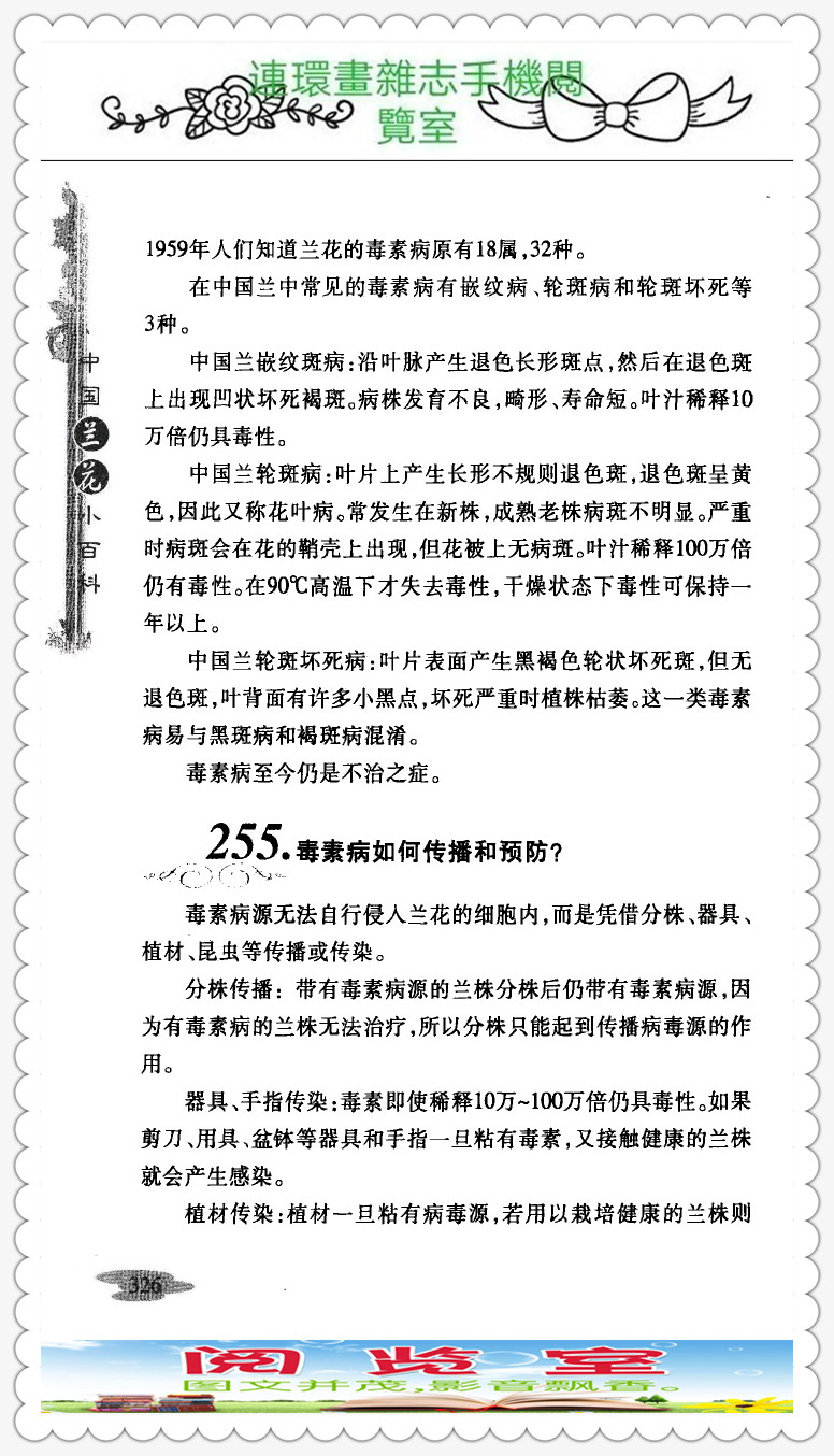 中国兰花品种大全书,中国兰花品种名录图片