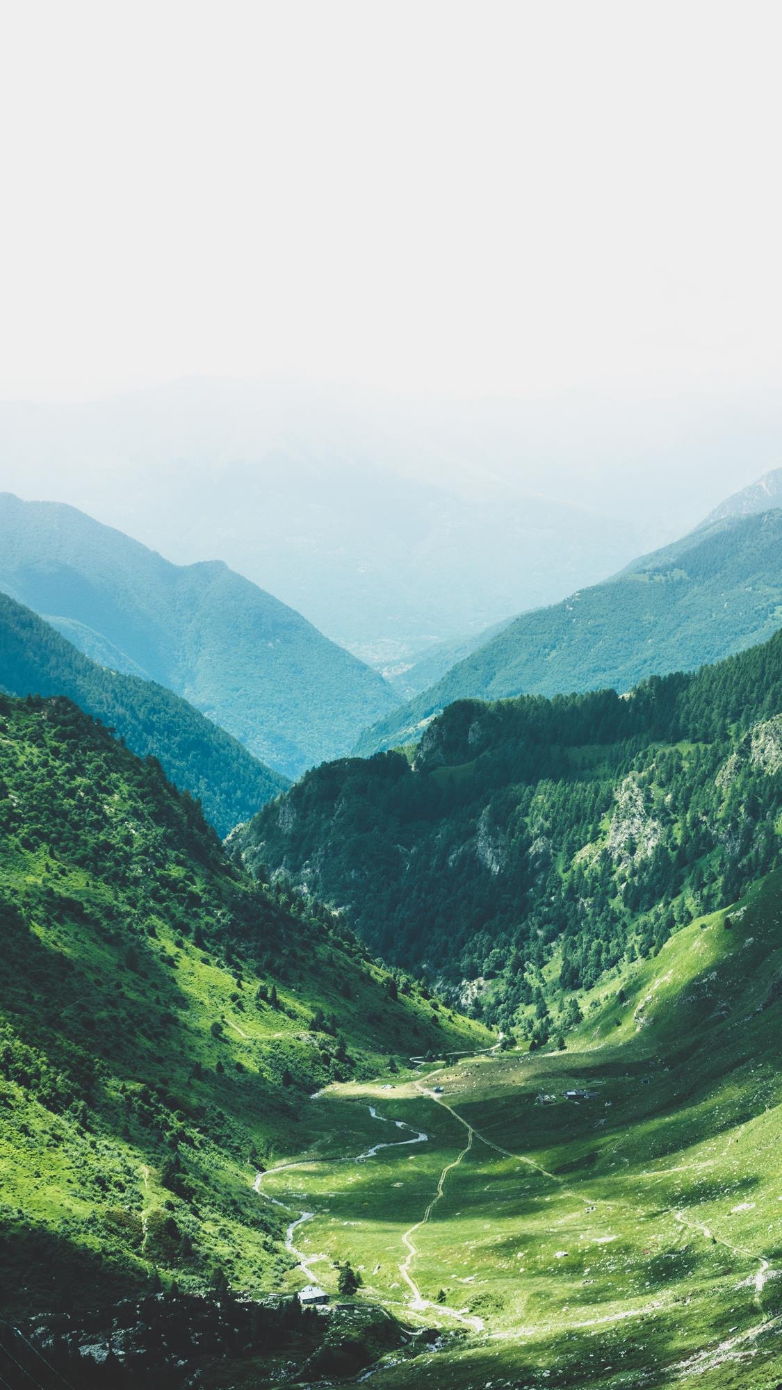 便是人间好时节壁纸,良辰美景好时光手机壁纸