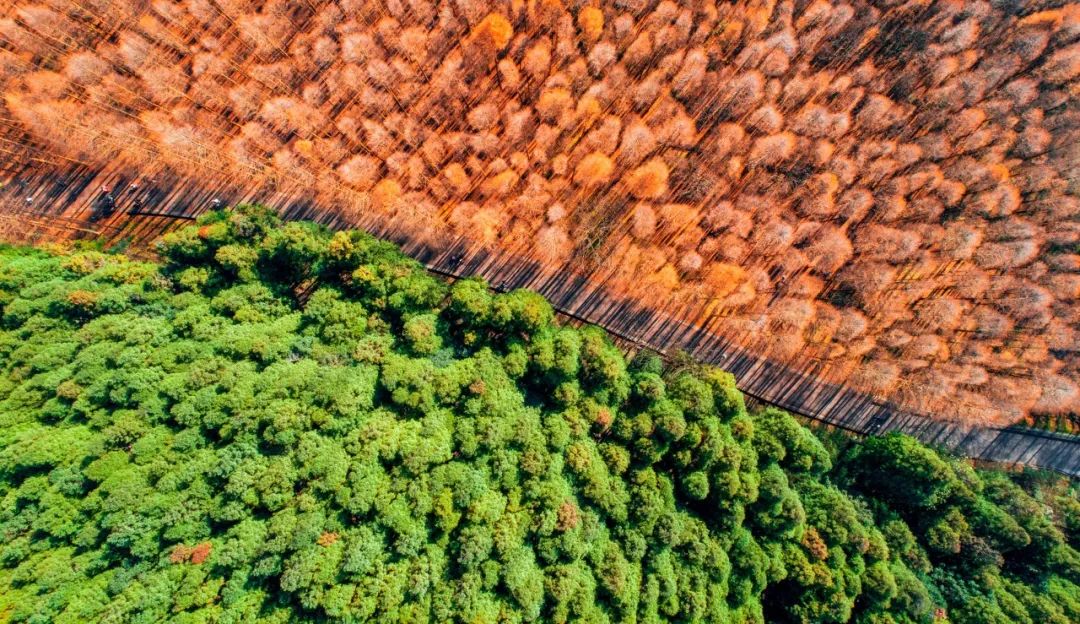 这才是国内最美的地方,这才是中国34省最该去的地方