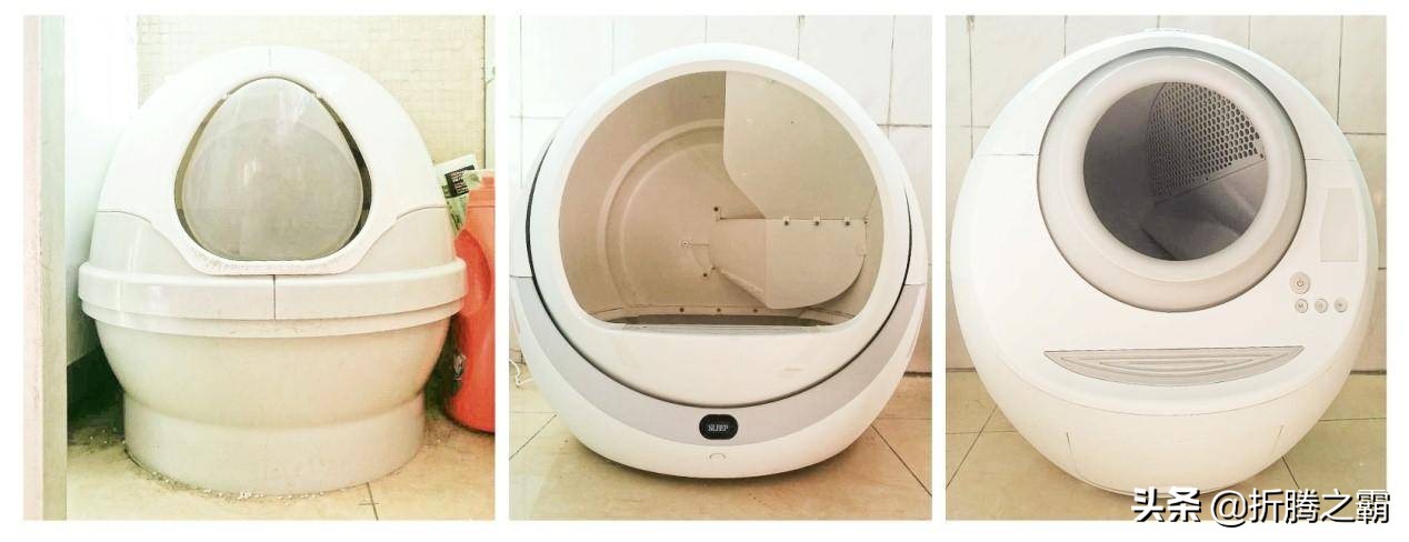 猫有必要买全自动猫砂盆吗,猫自动猫砂盆有必要买吗