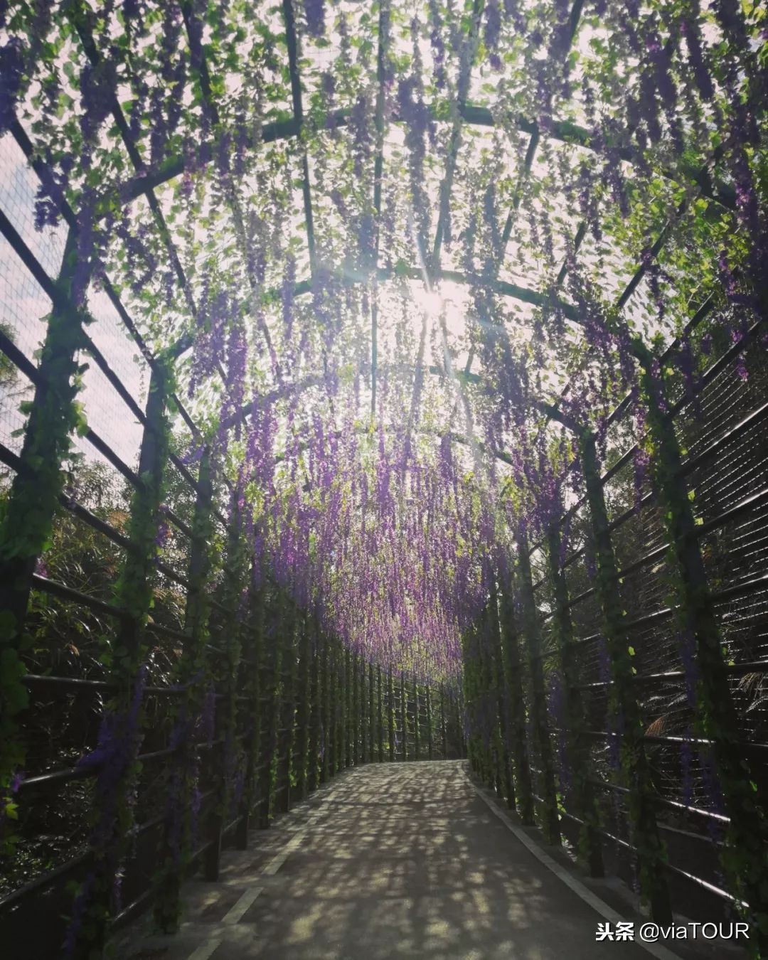 国庆南澳岛两天一夜攻略,东澳岛国庆两日游攻略