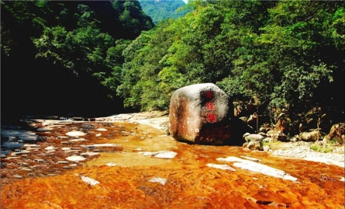 女神节送自己一个惊喜,女神节送福利礼物