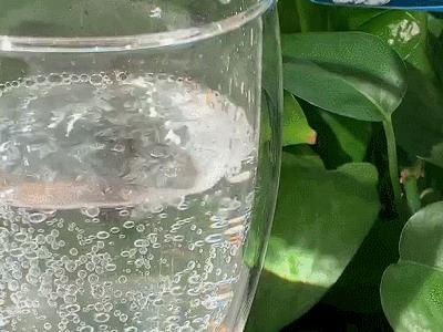 多亏这几块钱的快乐,最近我每天都幸福得冒泡