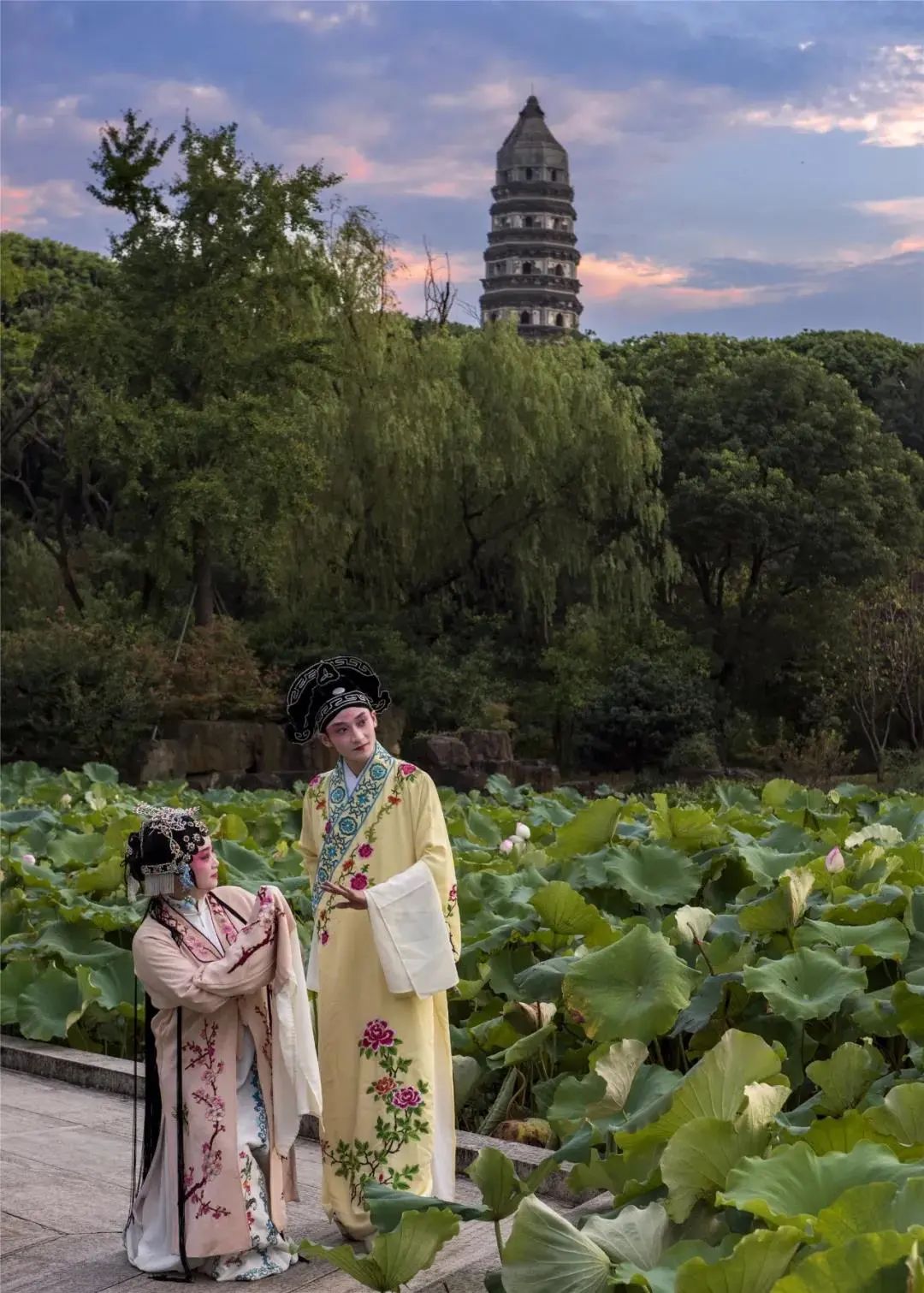 苏州近五年音乐节演唱会,苏州24年有哪些演唱会