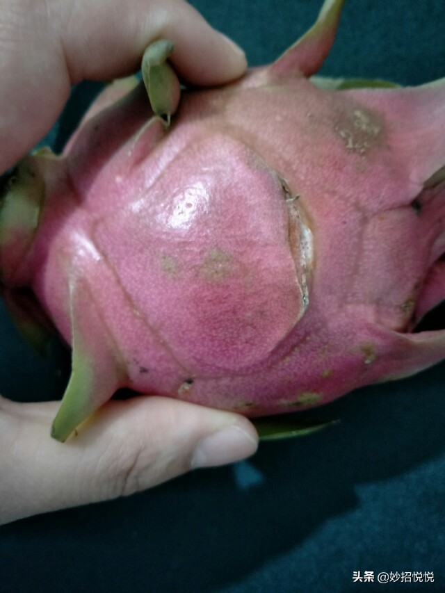 挑选火龙果的方法,火龙果怎么挑才是最甜的