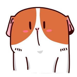 莆田二中高一分班名单,莆田二中今年中考录取名单