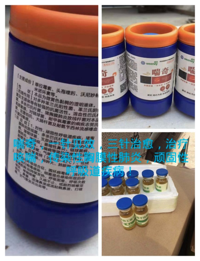 常见羊病及其防治知识,常见羊病分析和治疗大全