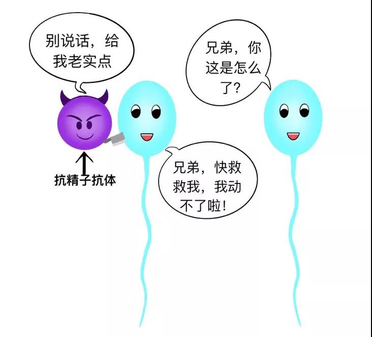 科普精子畸形的罪魁祸首,科普男性精子