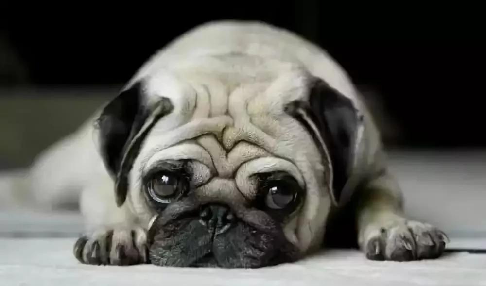 脸垮法令纹深最省钱的办法,脸垮了法令纹该怎么办