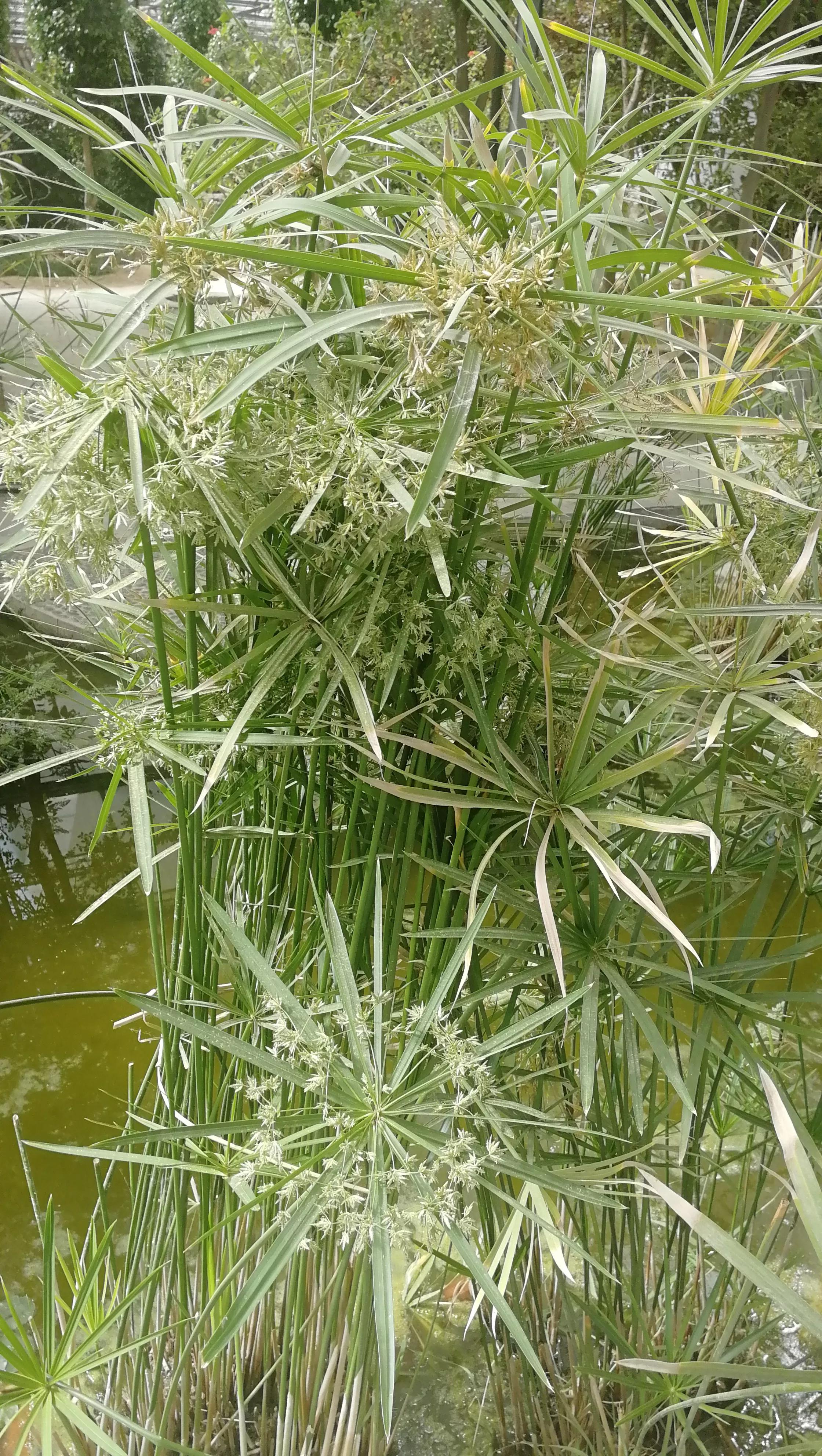 九天休闲谷现在去热吗,九天休闲谷完整版