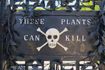 世上最毒的花园,最毒的花园有多可怕