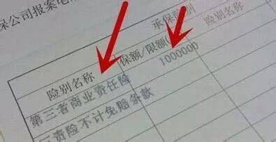 公路上撞死动物有责任吗,开车正常行驶撞了动物怎么处理