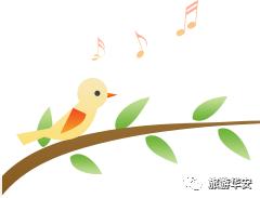 春风十里不如你，我在华安等着您