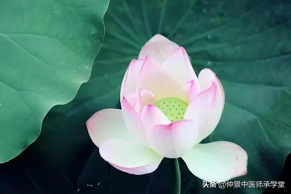 艾灸不当，会泄自己阳气！关于艾灸，记住这5条！恢复阳气不是梦