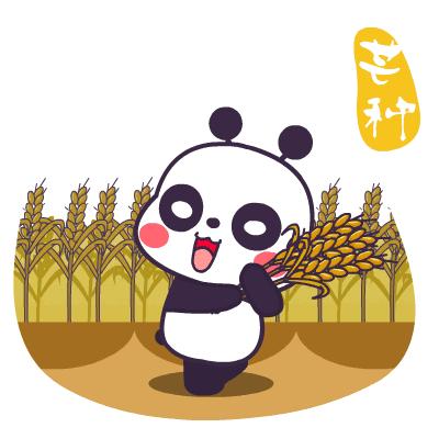 芒种早安励志语录,芒种早安语录