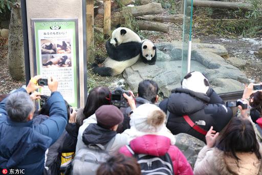 中华文化输出有多严重,中华文化输出的优点和缺点