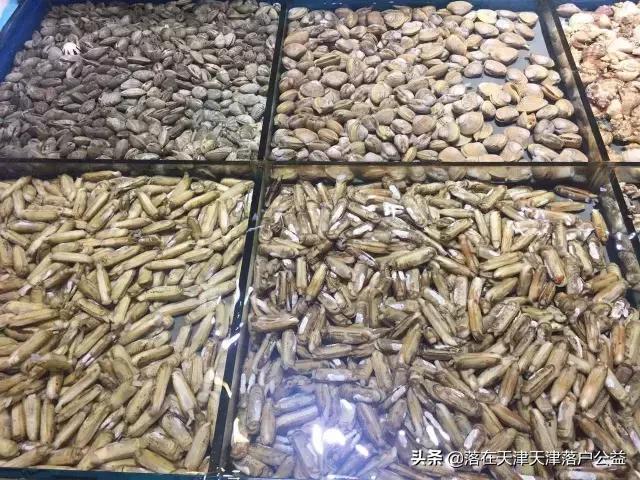 开海了怎么选海鲜,开海了囤点什么海鲜合适