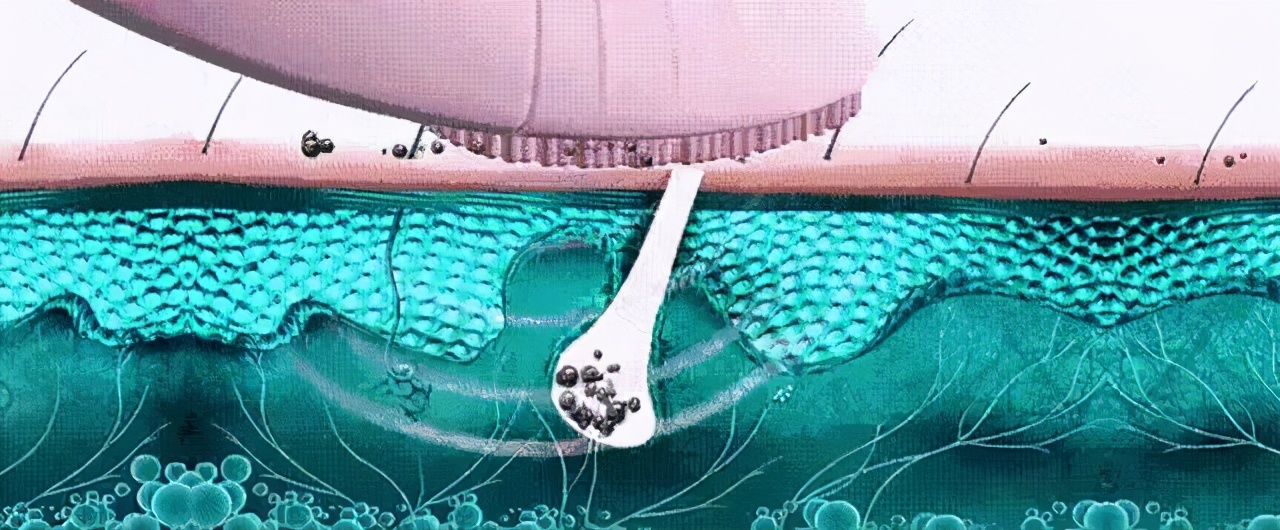 秋冬换个电动澡刷，深入清洁美肤，按摩从头爽到脚