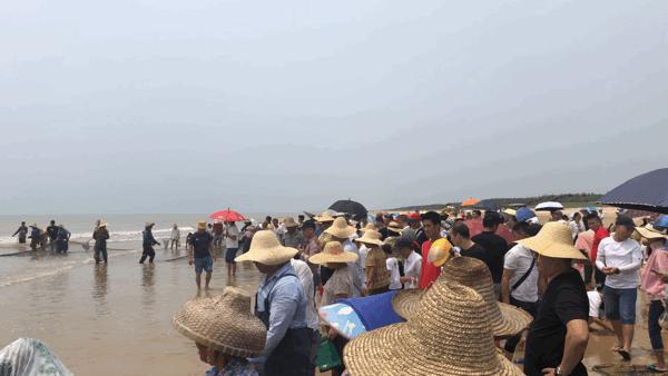 吴阳海鲜直播,吴阳金海岸出海直播