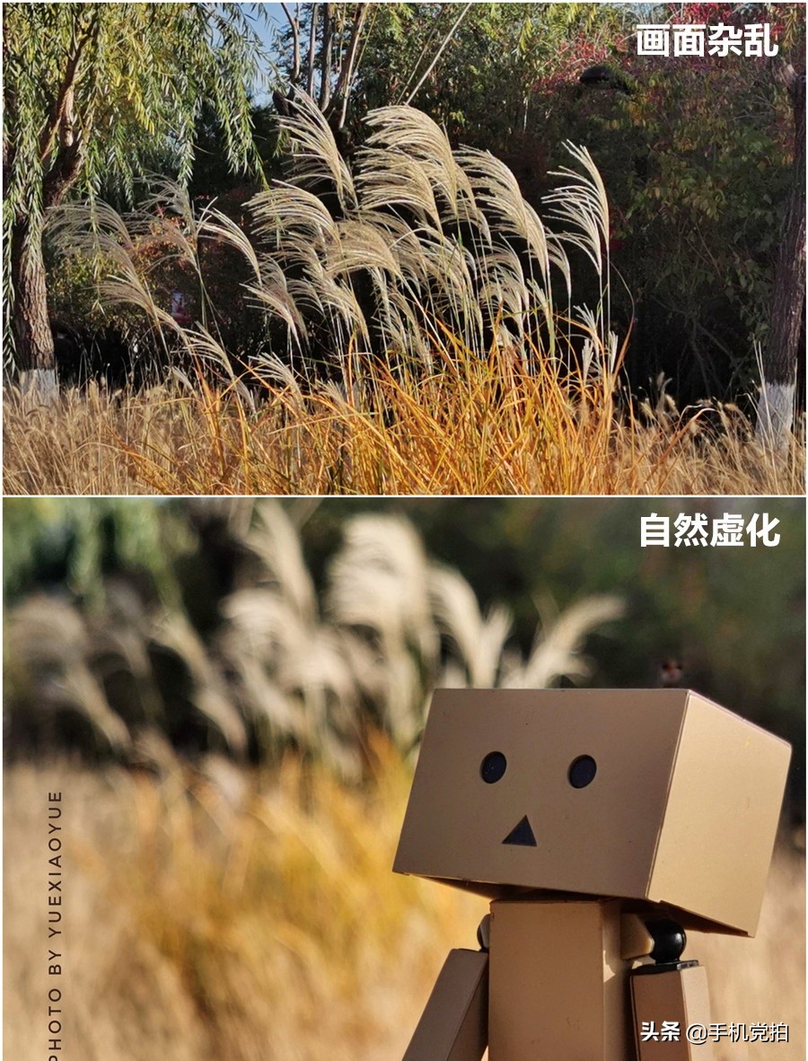 生活小妙招手机摄影,生活小妙招如何拍出爆款