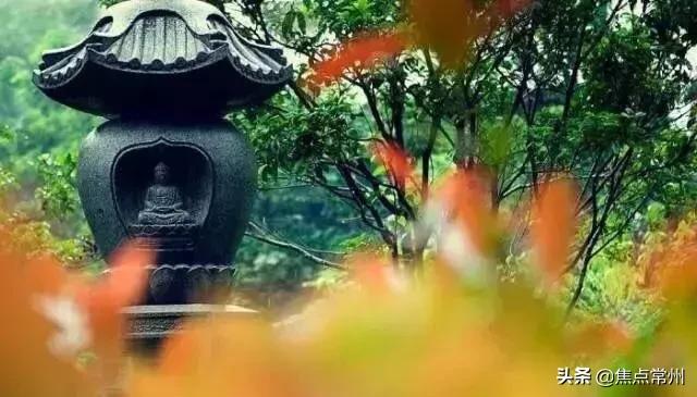 不争自有天地深度好文,不争不抢自有一方天地