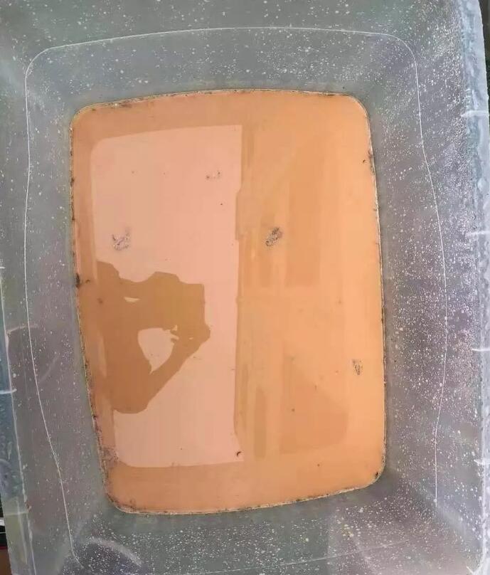 龟总打架怎么解决,龟打架要及时分开吗