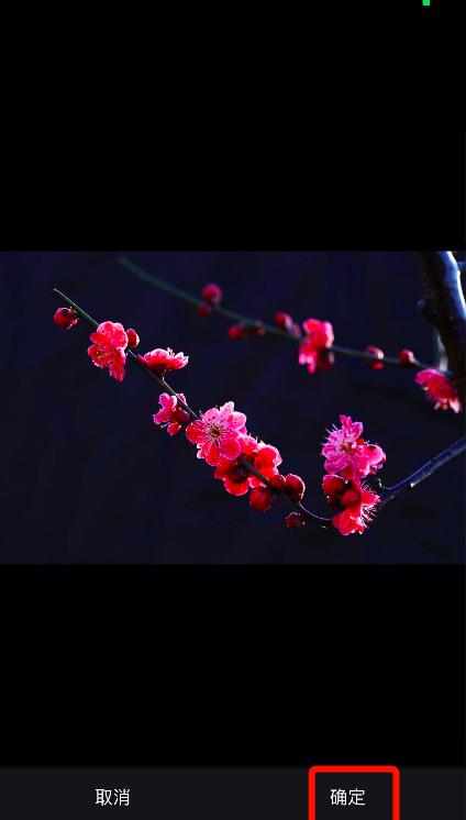 在家怎么拍出好看的照片修图,照片修图调画教程