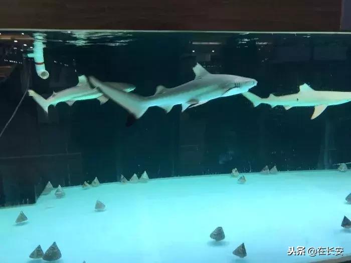 西安周边亲子游玩好去处推荐,西安儿童游乐去处推荐