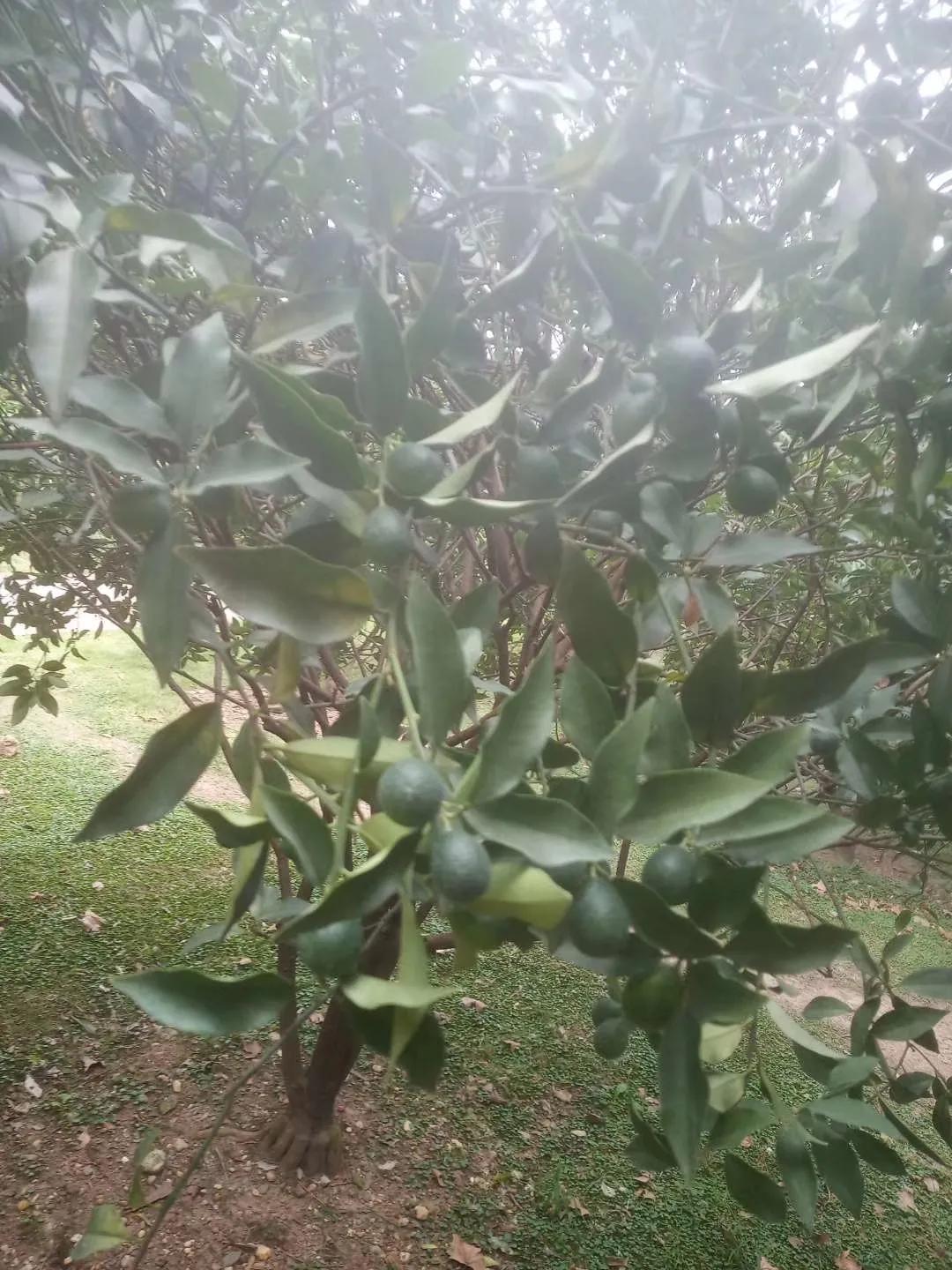 一定要带孩子去这几个城市走走,一生中一定要带孩子去的五个城市