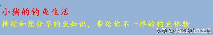 夏天蚯蚓钓鱼用多大的线组,用蚯蚓好钓鱼还是鱼饵好用